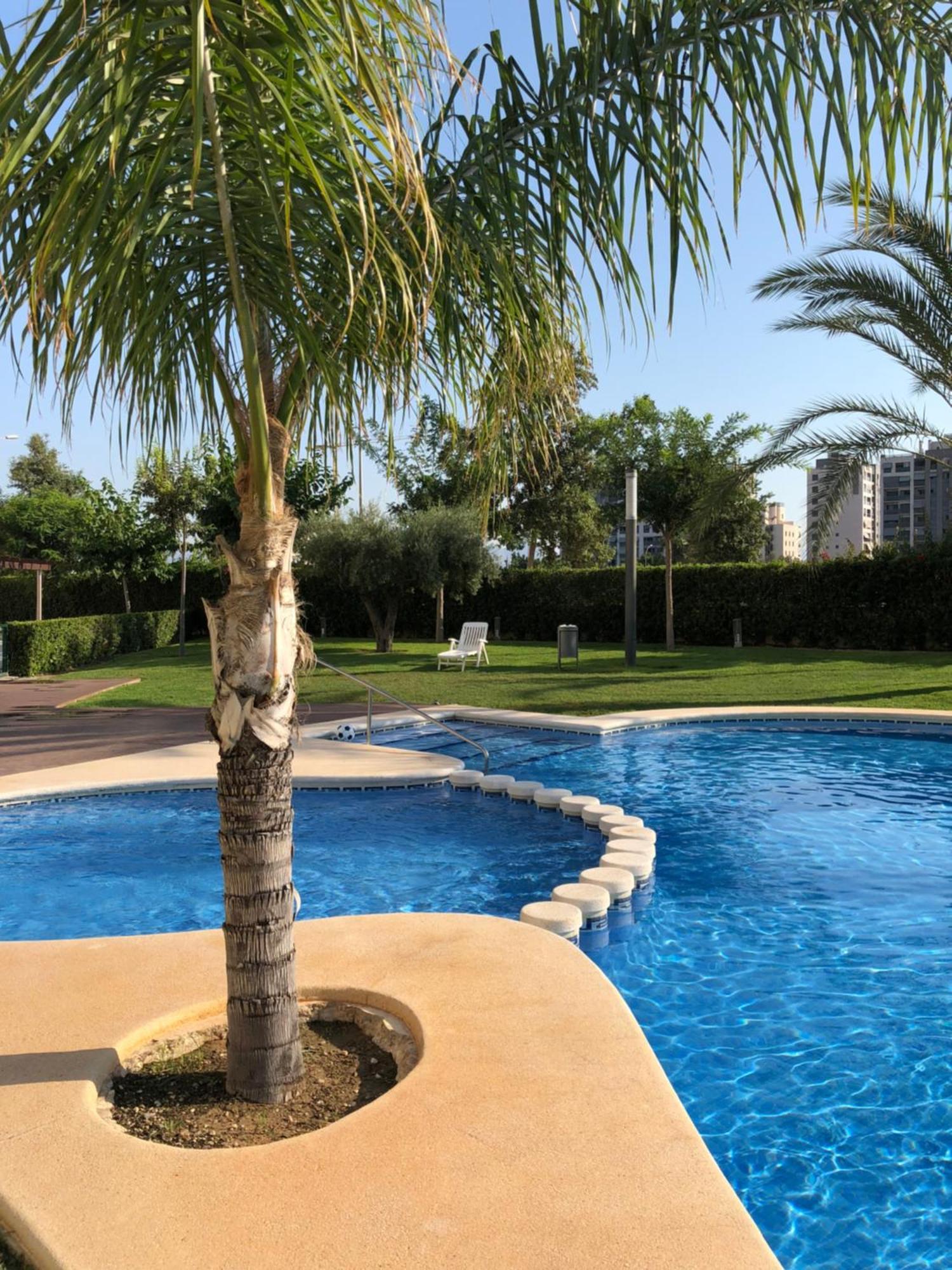 New Apartment In San Juan Playa, Alicante Pau5 Exteriör bild